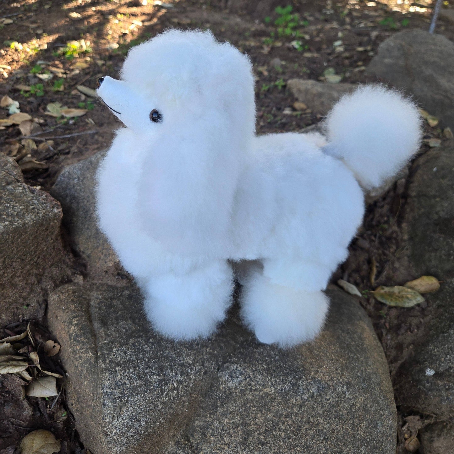 Alpaca Poodle Dog