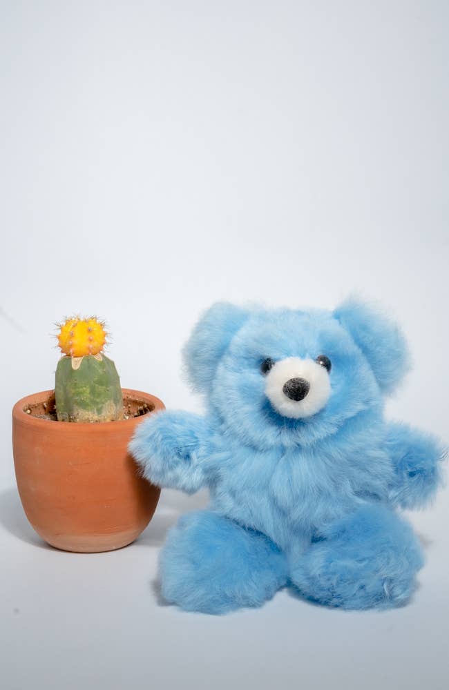 Teddy Bear 10" | Alpaca Stuffed Animal | Handmade
