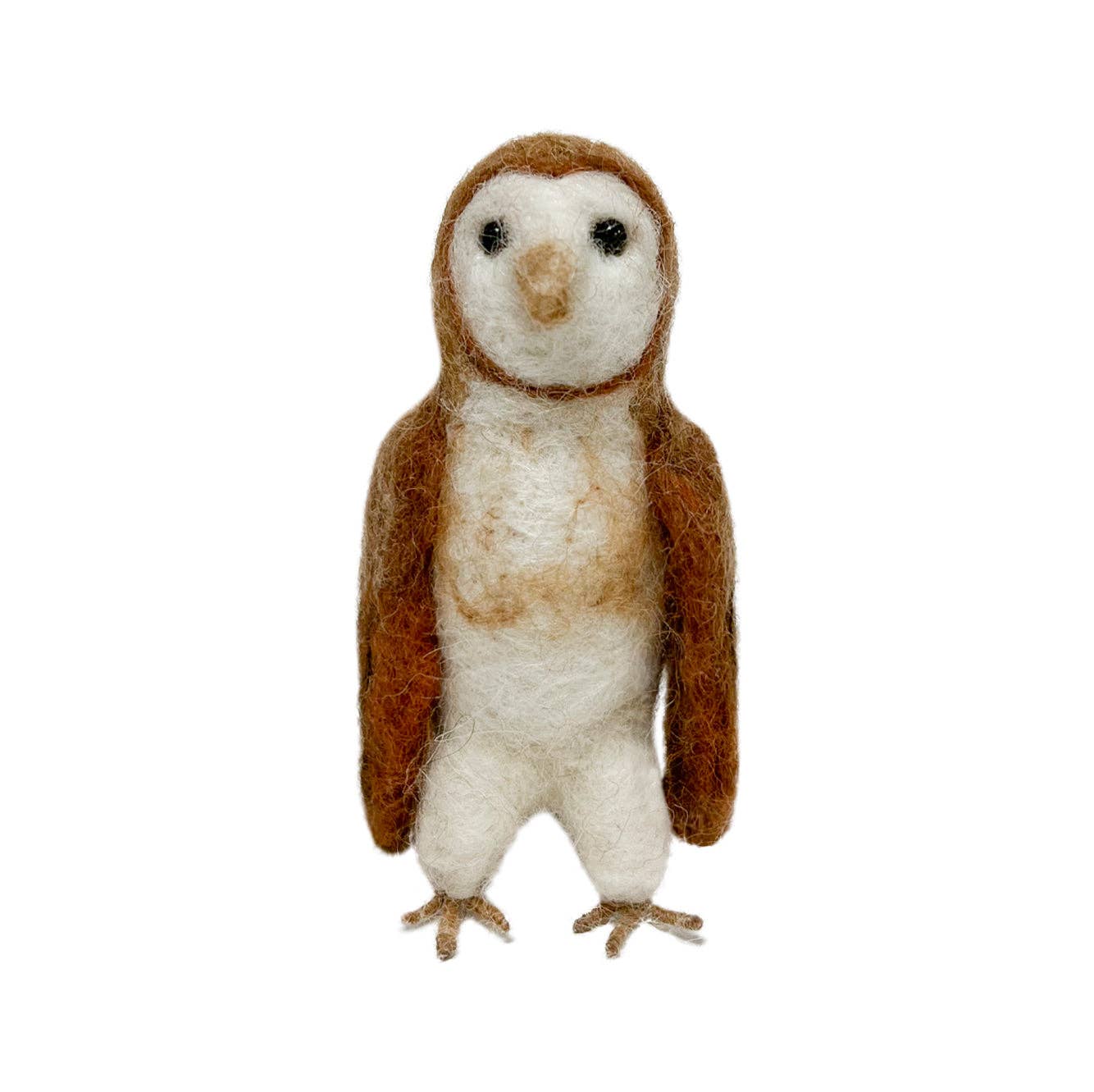 Barn Owl