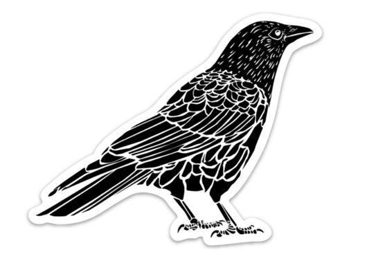 Crow Vinyl Sticker Pen and Ink Illustration