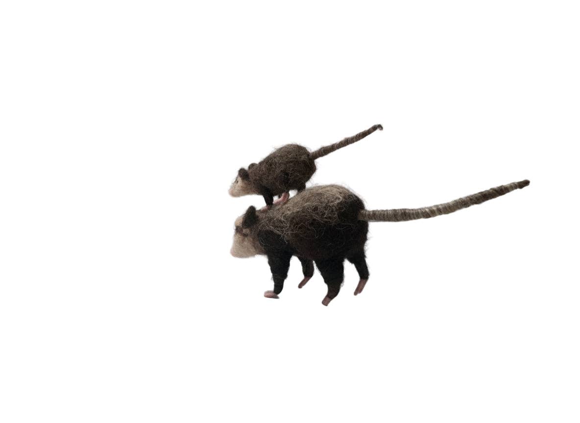 Mama Opossum & Joey