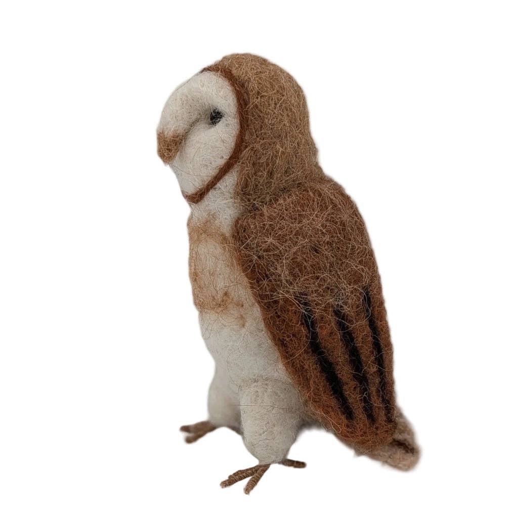 Barn Owl