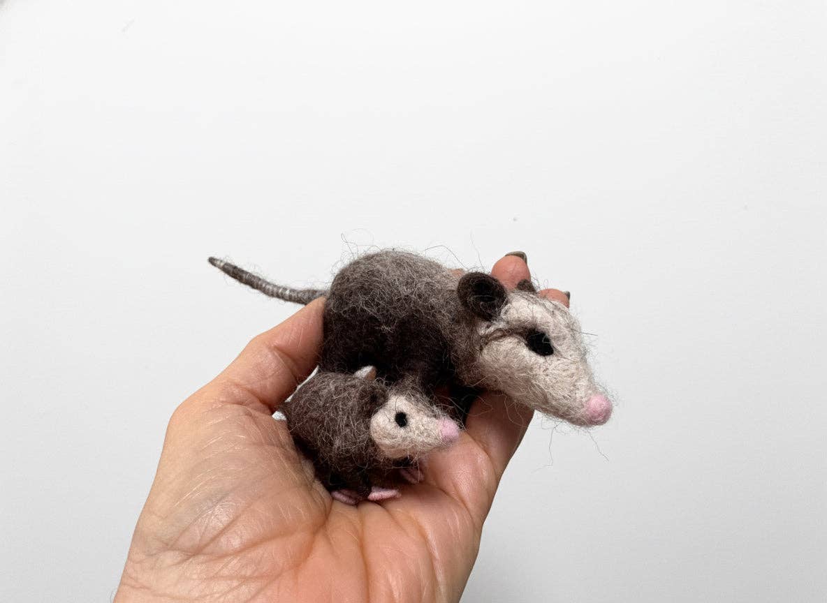 Mama Opossum & Joey