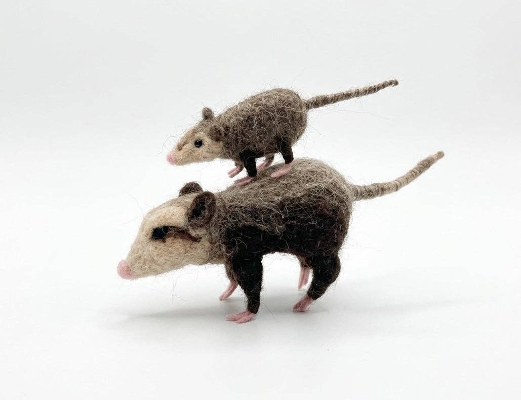 Mama Opossum & Joey
