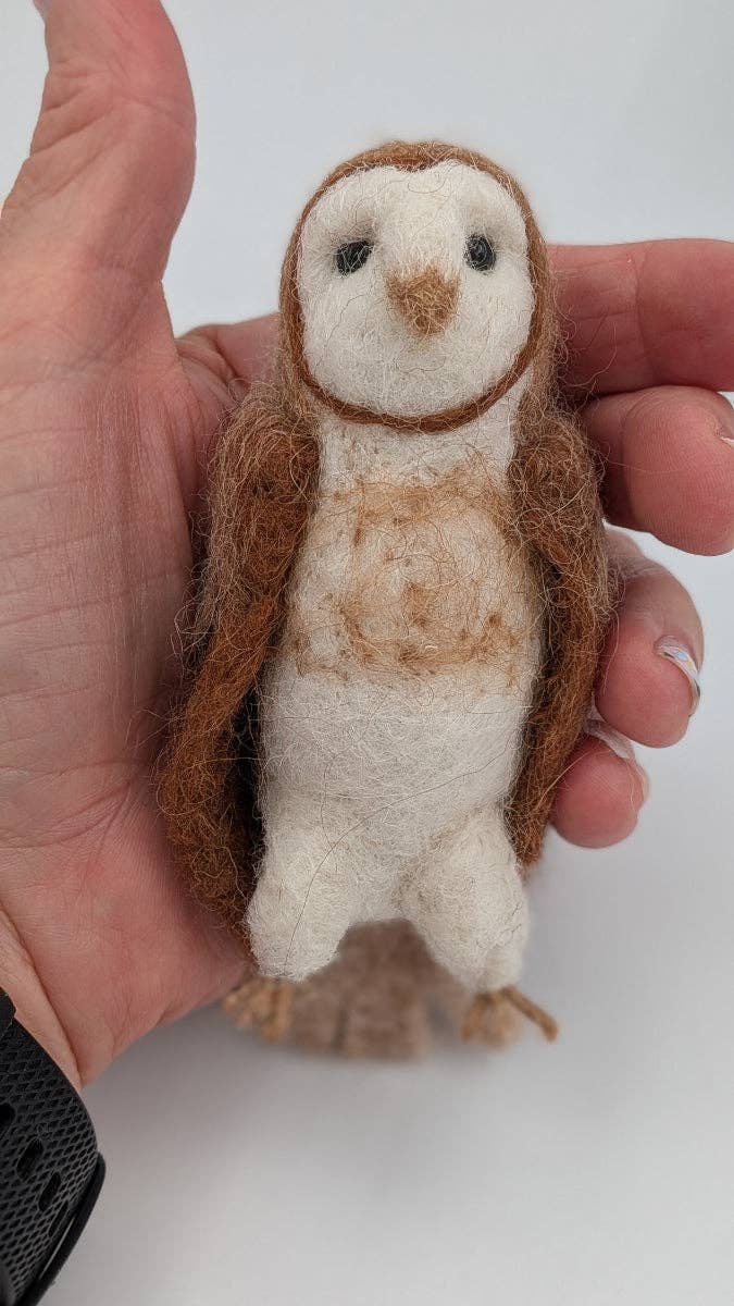 Barn Owl
