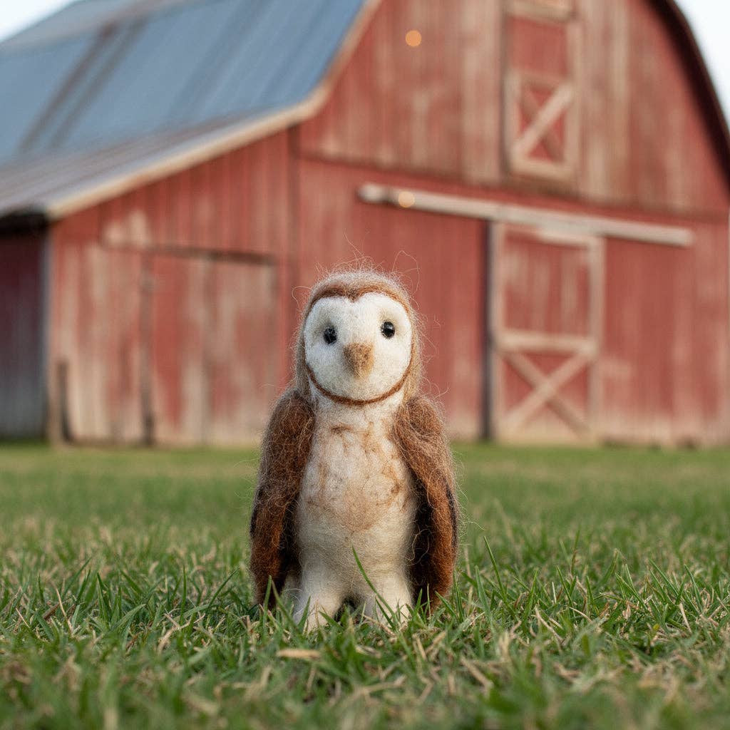 Barn Owl